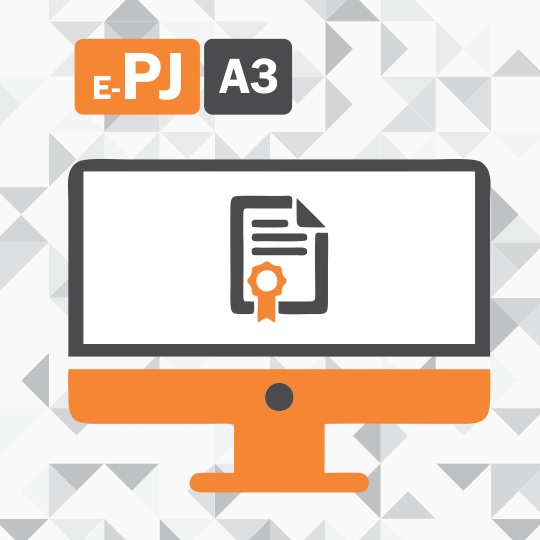 Certificado Digital para Pessoa Juridica A3 (e-PJ A3)