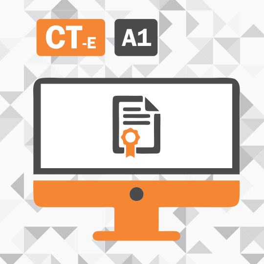 Certificado Digital para Transportadoras A1 (CT-e A1)